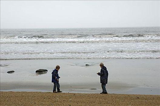 孩子,收集,侏罗纪海岸,靠近,东方,德文郡,海岸,英格兰