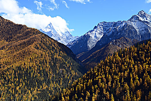 四川,亚丁,稻城,景区,甘孜州,藏族,自然,山水,雪山,风光