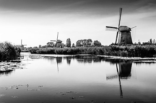 黑白,荷兰,风景