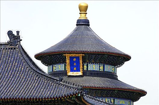 寺庙,上面,祈年殿,收获,北京,中国