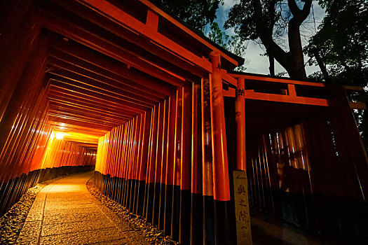 日本京都伏见稻荷大社千本鸟居夜景