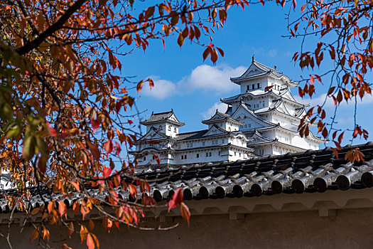 日本,姬路城堡