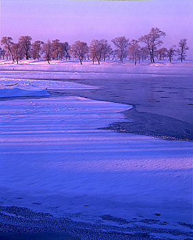 冬季湖边日出