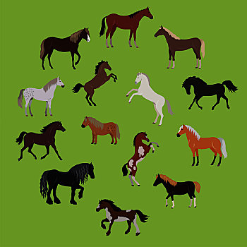 插画,不同,马,多样,彩色,象征,动作,站立,跑,跳跃,骑马,隔绝,矢量,绿色背景