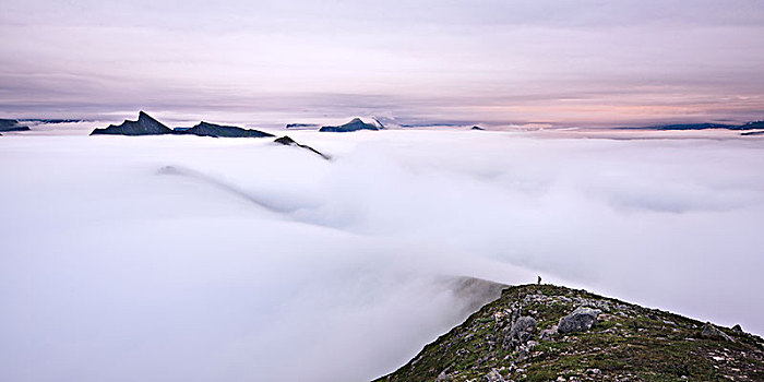 雾状,山景,日出