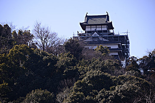 斑点,城堡,日本