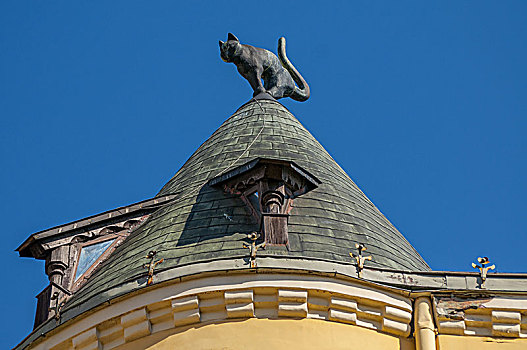 猫,雕塑,屋顶,房子,里加,拉脱维亚