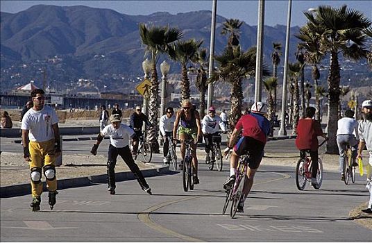 人,运动,大道,街道,骑自行车,自行车,滑板,滑旱冰,威尼斯,洛杉矶,加利福尼亚,美国,北方