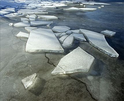 浮冰,基姆湖,上巴伐利亚,巴伐利亚,德国