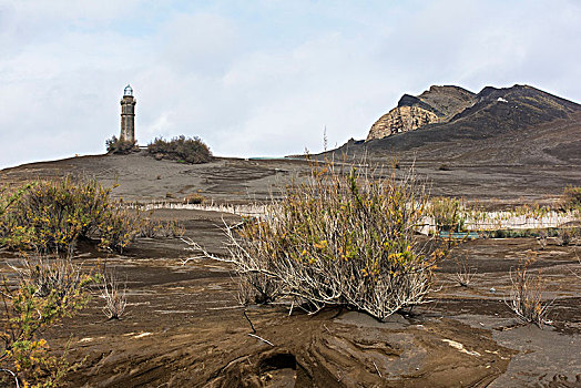 风景,灯塔