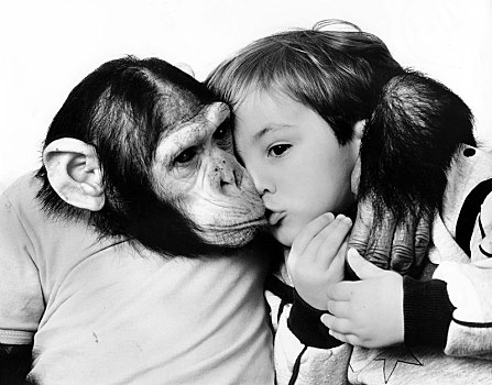 黑猩猩,吻,搂抱,小男孩,英格兰,英国