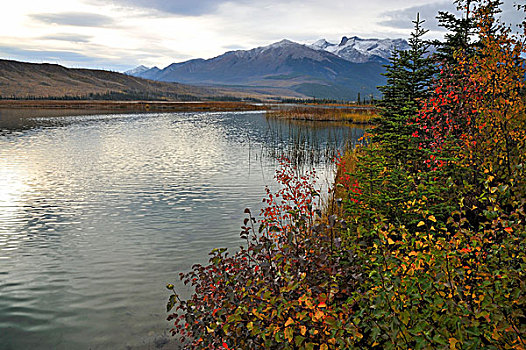 风景,图像,岸线,雪冠,落基山脉,捕获,一个,多云,秋天,早晨,碧玉国家公园,艾伯塔省,加拿大