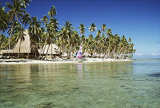 斐济,胜地,草,小屋,棕榈树,遮盖,岛屿
