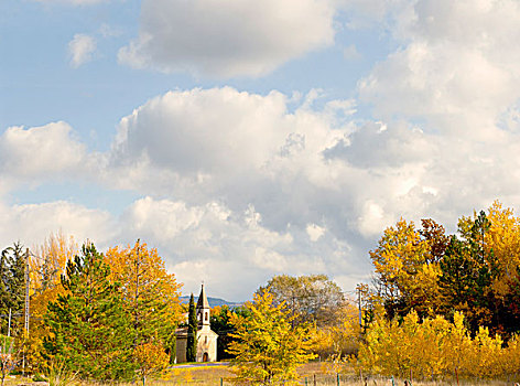 教堂,秋天,树,贝多因人,普罗旺斯,法国