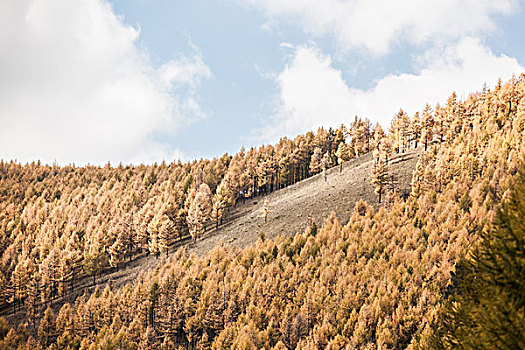 金秋阿尔山