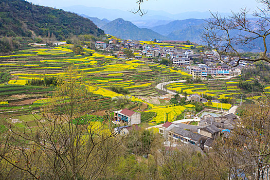 梯田,山村,春意