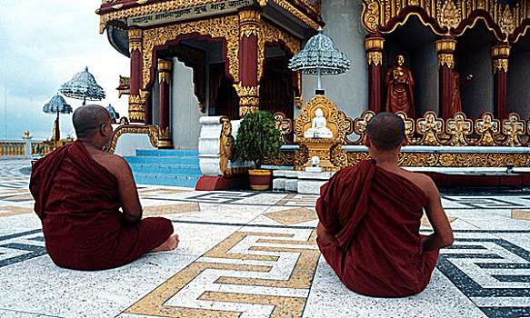 佛教,僧侣,祈祷,寺庙,金庙,印度