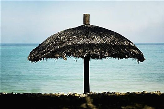 特写,海滩伞