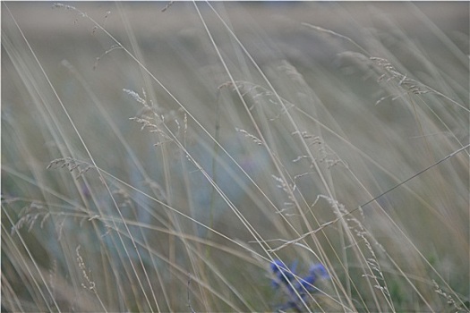 夏天,风景