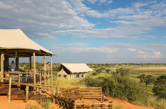 大厅,壁炉,帐篷,露营,沙丘,下雨,季节,绿色,环境,卡拉哈里沙漠,卡拉哈迪大羚羊国家公园,博茨瓦纳,非洲