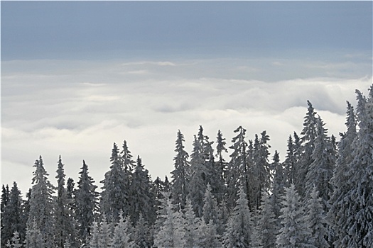 雪,山