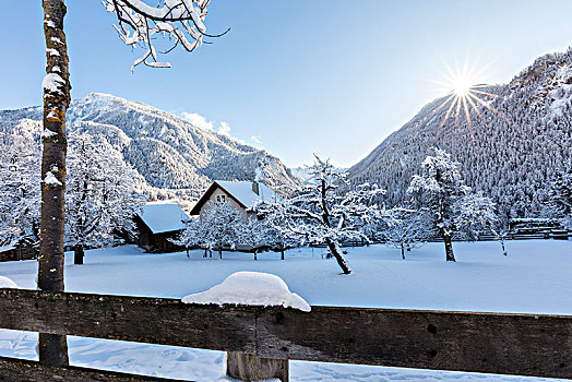 冬天,山谷,格劳宾登,瑞士