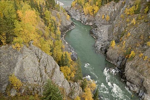 风景,溪谷,河,靠近,不列颠哥伦比亚省,加拿大,北美