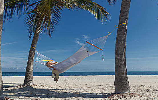 美女,倚靠,吊床,棕榈树,迈阿密海滩,佛罗里达,美国