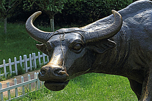 牛的雕塑
