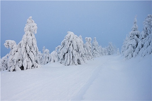 冬季风景,山,捷克共和国