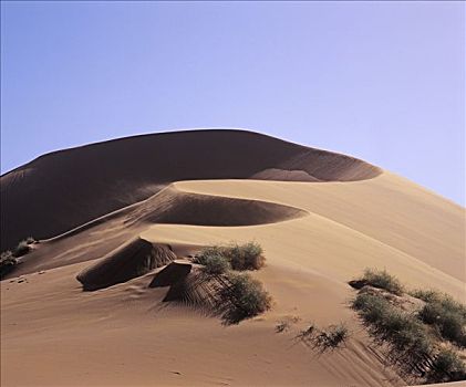 沙丘,索苏维来地区,纳米比亚