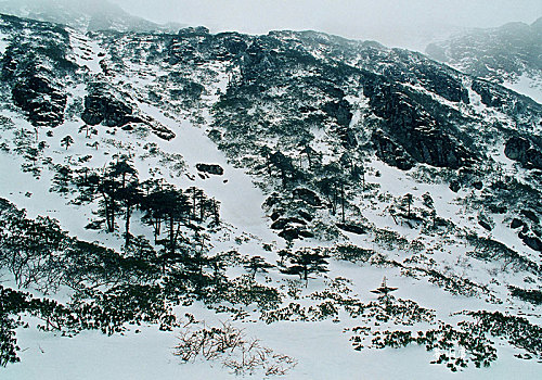 大理苍山冬雪