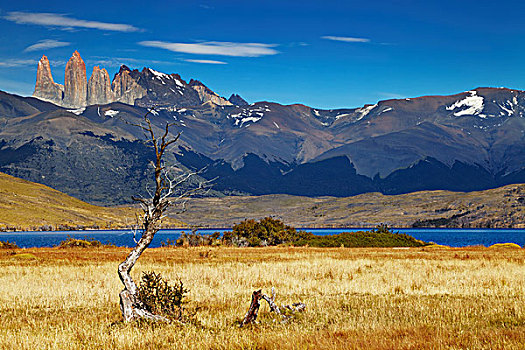 托雷德裴恩国家公园,泻湖,巴塔哥尼亚,智利