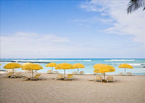 墨西哥,尤卡坦半岛,女人岛,沙滩椅,伞,白色背景,沙滩,棕榈叶,前景