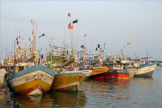 彩色,渔船,正面,港口,印度洋,斯里兰卡,南亚