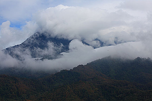 五指山风光