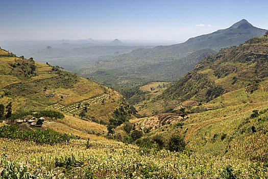 俯拍,山谷,大裂谷,乌干达