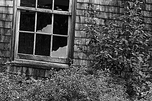 窗户,农舍,爱德华王子岛,加拿大