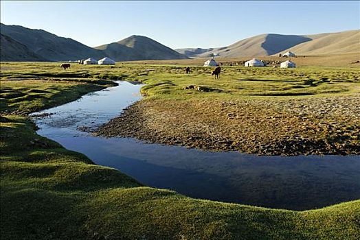 游牧,蒙古包,靠近,河,草原,阿尔泰,蒙古,亚洲