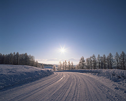 朝日,雪路