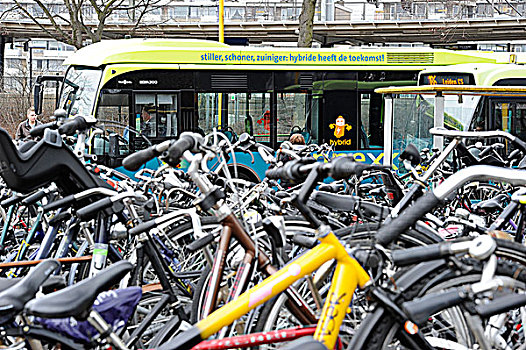 荷兰,自行车,巴士