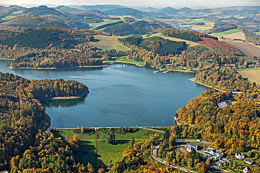 坝,墙壁,金色,十月,藻厄兰,北莱茵威斯特伐利亚,德国