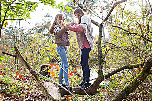 侧面视角,少女,树林,面对面,握手,平衡性,秋天,树干