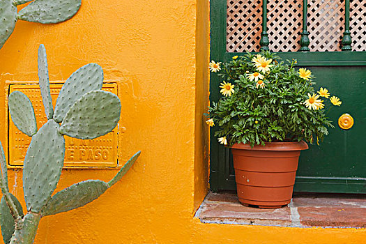 黄色,建筑,绿色,门,花盆,仙人掌,马拉加省,西班牙