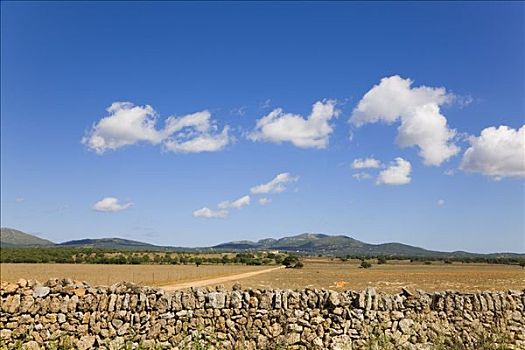 农田,马略卡岛,西班牙