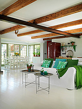 精美,托盘,桌子,正面,沙发,白色,松,遮盖,散落,垫子,多样,绿色,室内,就餐区,背景