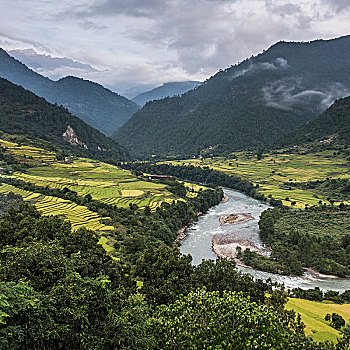 河,流动,山谷,茂密,农田,围绕,山,普那卡,不丹