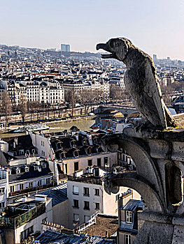 法国,巴黎,滴水兽