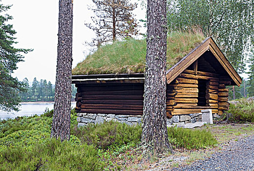 木屋,边缘,湖,挪威