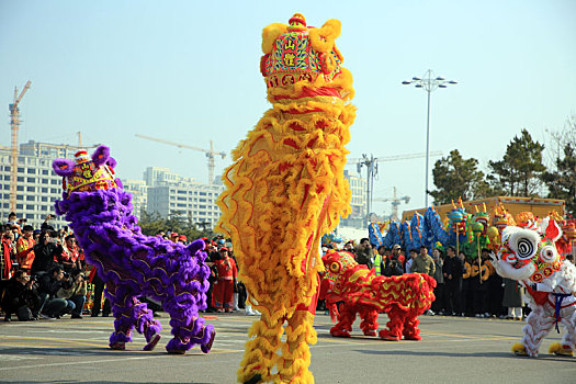 山东省日照市,舞龙舞狮喜迎二月二,醒狮表演精彩纷呈